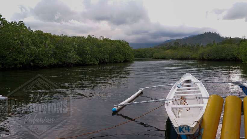 Puerto Princesa: Firefly Watching Paddle Boat Tour & Dinner - Dinner at Swag Restaurant