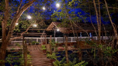 Firefly Watching Paddle Boat Tour & Dinner