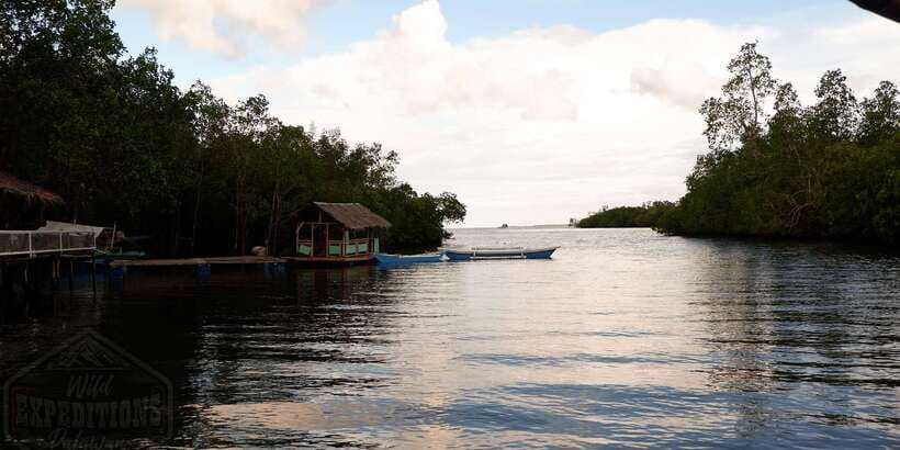 Puerto Princesa: Firefly Watching Paddle Boat Tour & Dinner - Is $27 good value?