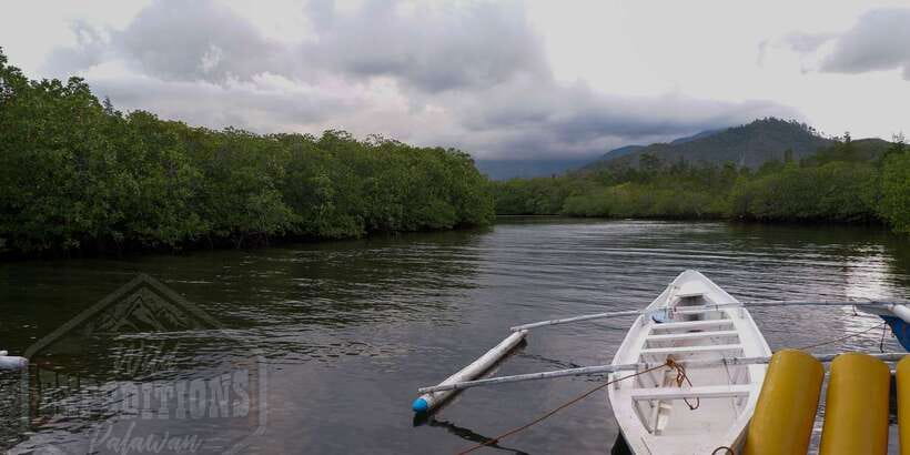 Puerto Princesa: Firefly Watching Paddle Boat Tour & Dinner - Who should book this experience
