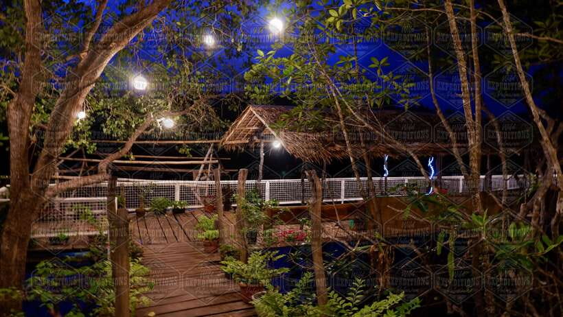 Puerto Princesa: Firefly Watching Paddle Boat Tour & Dinner - Pickup from Puerto Princesa between 5:00 and 6:00 pm