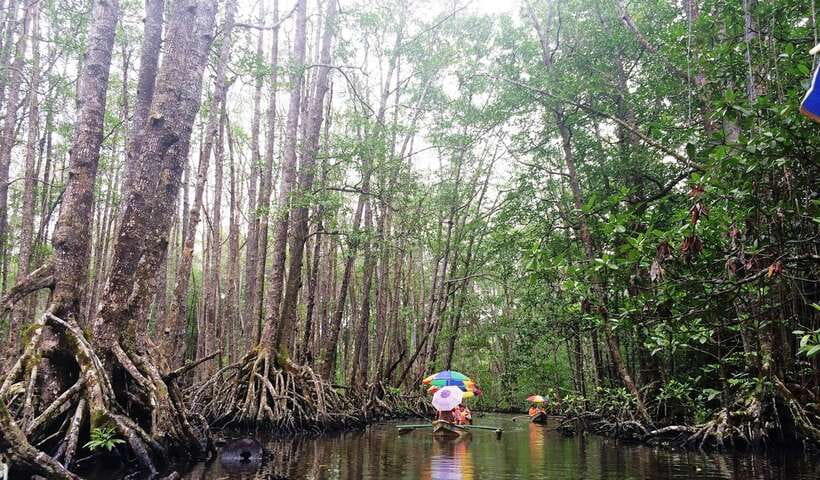 Puerto Princesa: Underground River, Zipline, Paddleboat Tour - Is the $77 price good value?