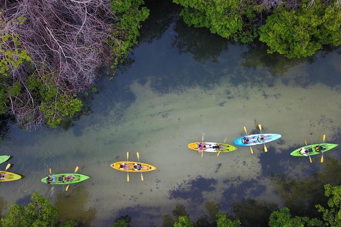 Puerto Rico Bio Bay Kayak Adventure Tour - How much value do you get for $65?