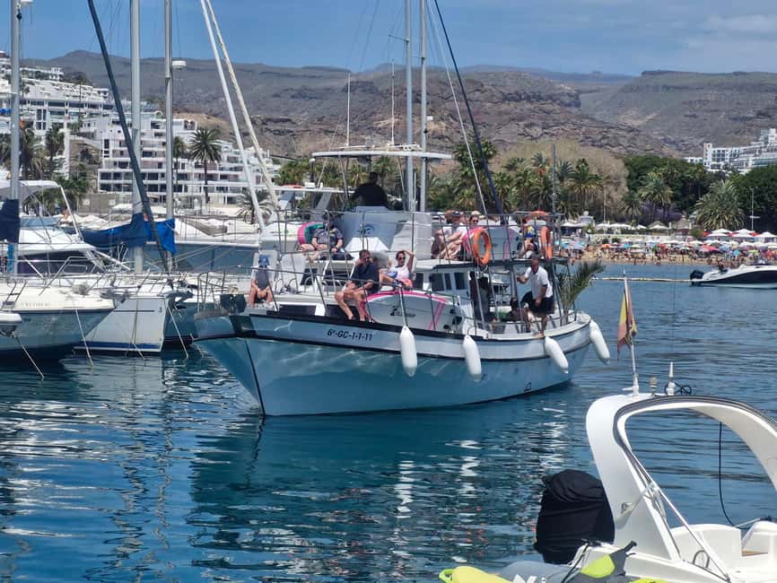 Puerto Rico, Gran Canaria: boat trip, drinks, food, paddle surfing, snorkeling - Tapas, sangria, and drinks included in the fare