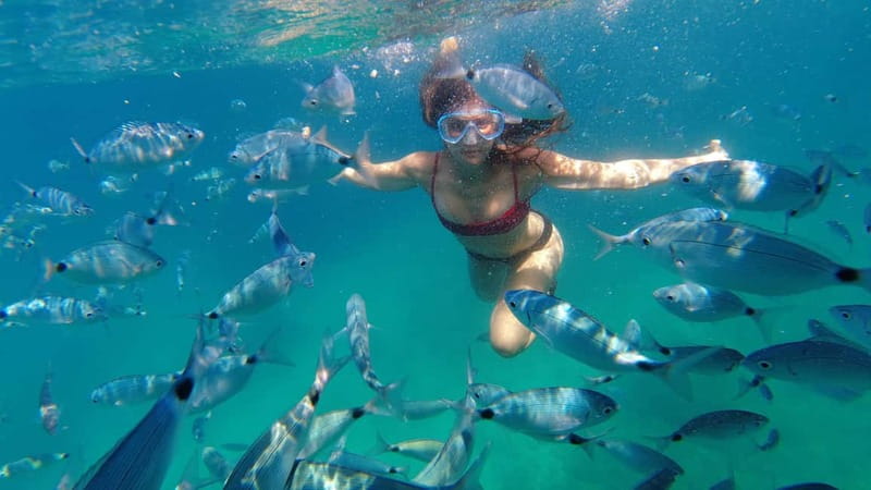 Pula: Cave Kayak, Snorkeling, Cliff Jumping All-in-one Tour - Kolombarica Sea Cave and its turquoise water