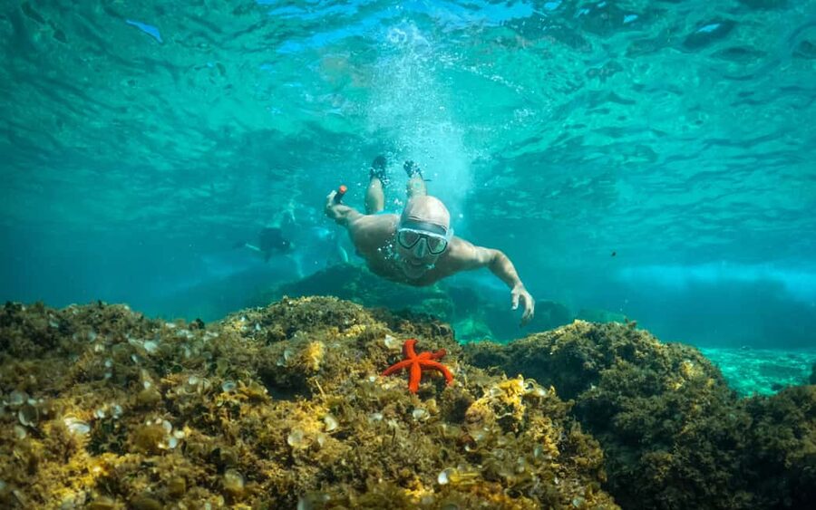 Pula: Kayaking,Snorkeling, Cliff jumping Tour with Wetsuit - The 25-minute safety briefing