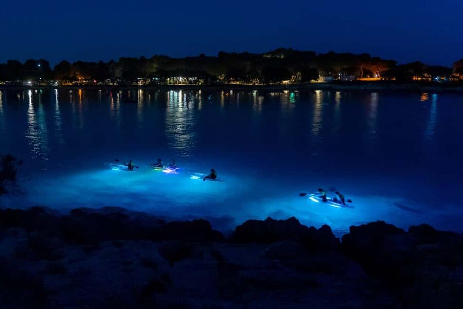 Pula: Night Kayak Tour with Glowing Kayaks - Paddling through Pula’s moonlit coastline