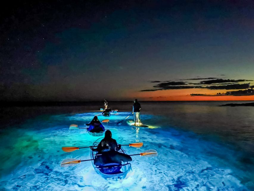 Pula: Night-Time Sea Kayaking Tour in Transparent Kayak - Is $69 good value?