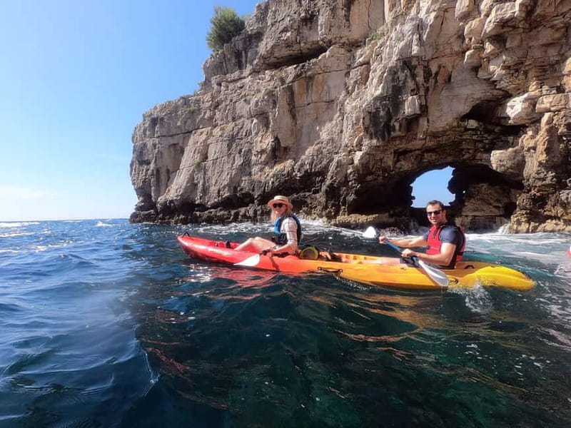 Pula: Sea Adventure – Boat, Kayak, Snorkeling & Cliff Jumps - Birds, dolphins, and life around the rocks