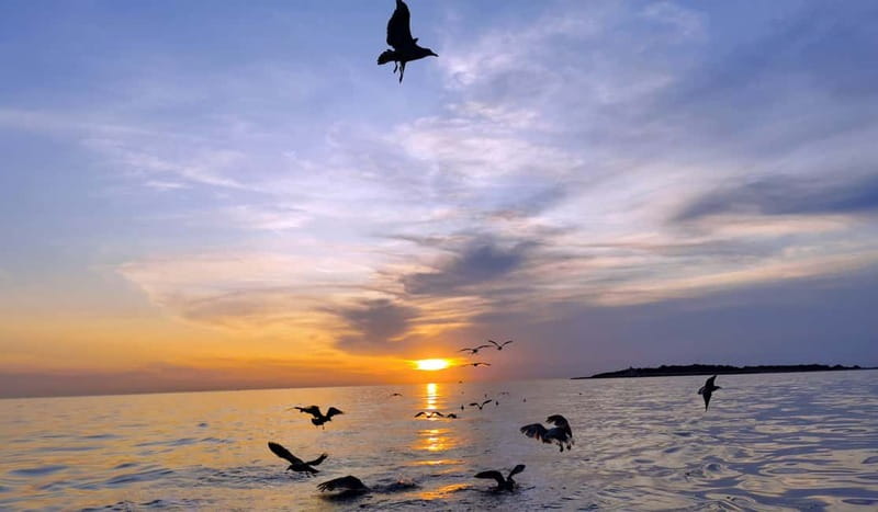 Pula: Sunset Adventure – Boat, Kayak, Snorkeling & Sunset - Practical advice for Marina Polesana