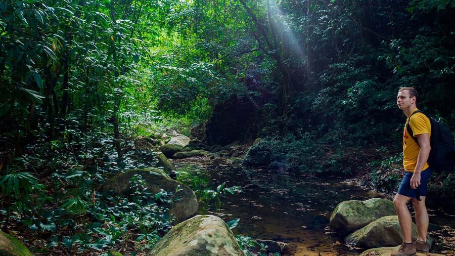 Punta Cana: Los Haitises Hike & Kayaking Mangroves - Caves and the Park’s Karst Country