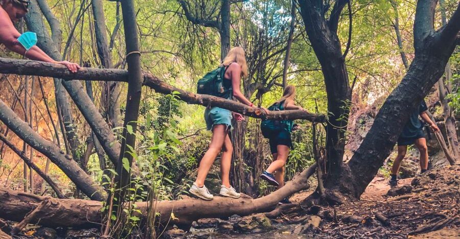 Punta Cana: Los Haitises Hike & Kayaking Mangroves - What the $135 Price Really Buys