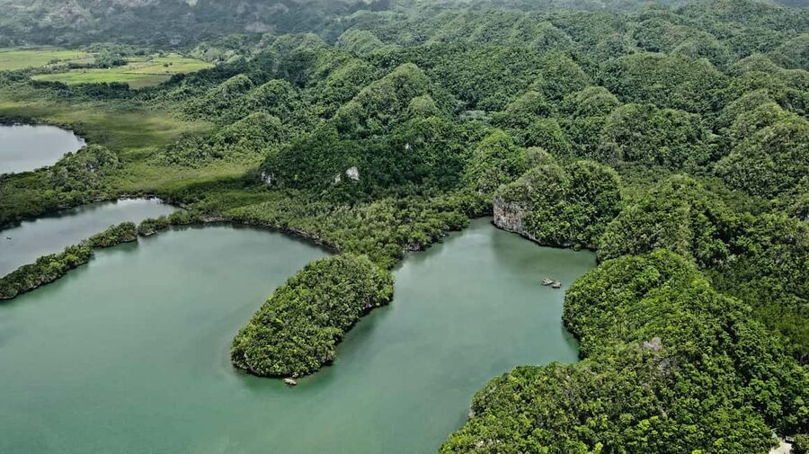 Punta Cana: Los Haitises Hike & Kayaking Mangroves - Who Will Enjoy This Day Most