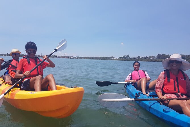 Raby Bay Wildlife Kayak Tour - Mangroves, birds, and stingrays in the shallows
