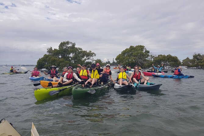 Raby Bay Wildlife Kayak Tour - What the price means at $56.66 per person