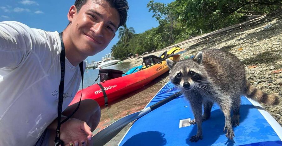Raccoon Island: Exploration on SUP/Kayak - Wildlife beyond the raccoons