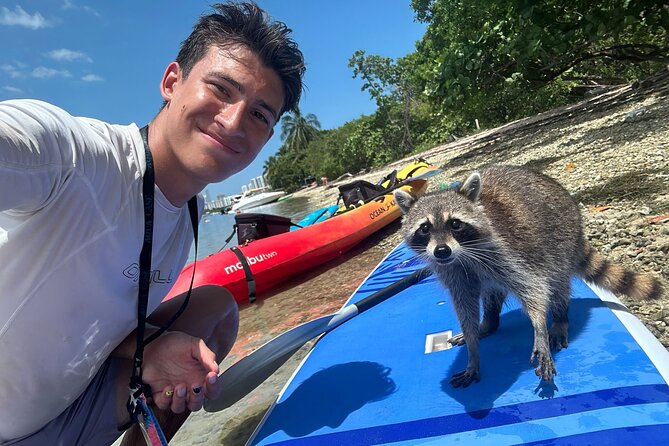 Raccoon Island: Exploration on SUP/Kayak - Finding Cataria at Bill Baggs Marina