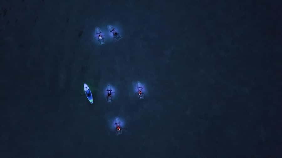 Railay: Illuminated Clear Kayak Night Tour Bioluminescence - What the illuminated clear kayak really adds