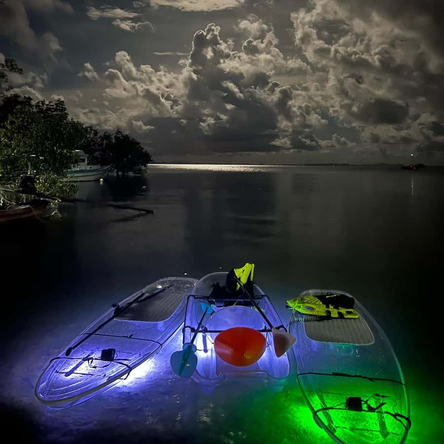 Railay: Illuminated Clear Kayak Night Tour Bioluminescence - Who should book this Railay paddle?
