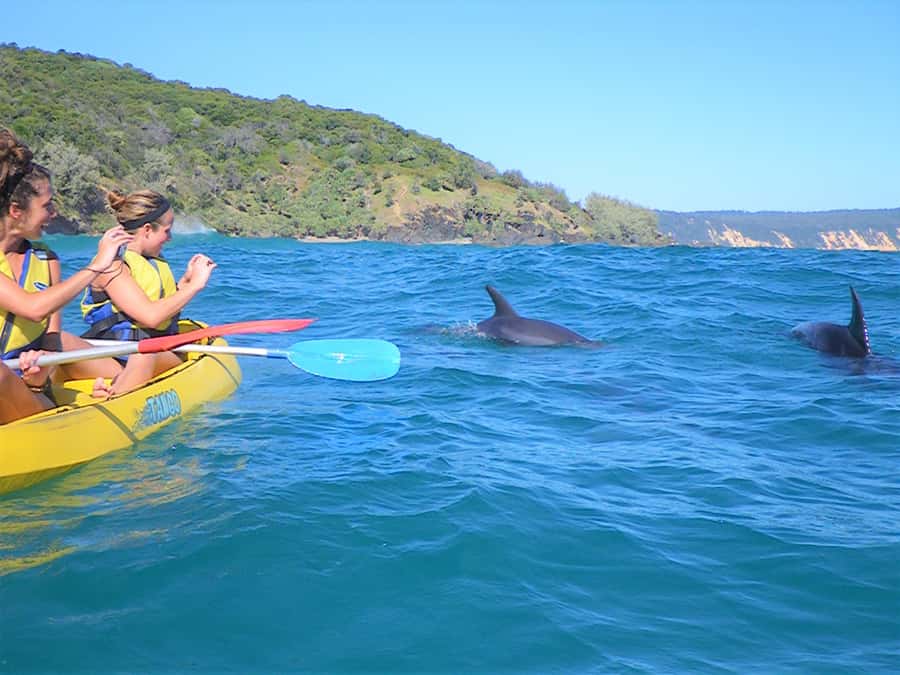 Rainbow Beach: Kayaking with Dolphins and Beach 4WD Tour - What the kayaking section feels like