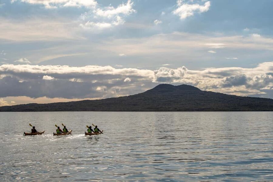 Rangitoto Island: Sea Kayak & Summit Hike Day Trip - Why Rangitoto Works So Well as a Day Trip