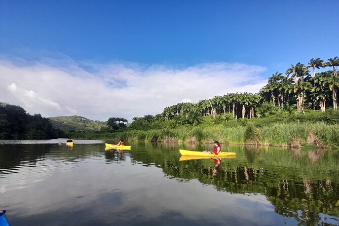 Rental Kayaking or Stand-up Paddle 2H - Starting at Grande Anse in Deshaies