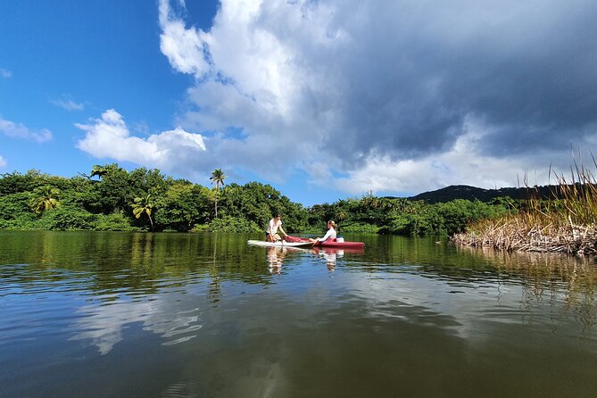 Rental Kayaking or Stand-up Paddle 2H - Choosing Between a Kayak and Paddleboard
