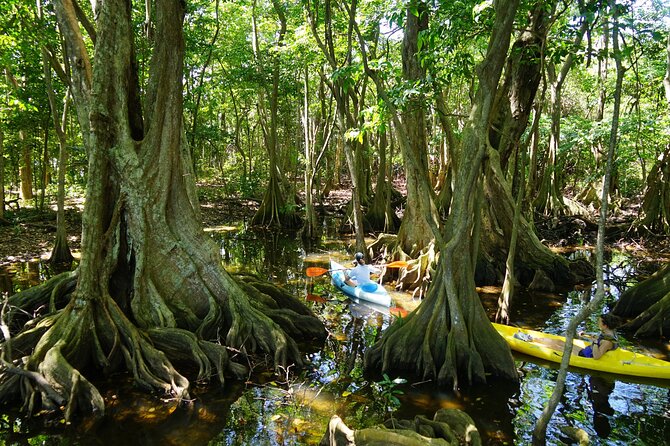 Rental Kayaking or Stand-up Paddle 2H - What the Two Hours Feel Like
