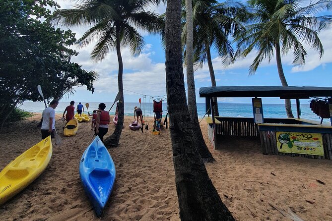 Rental Kayaking or Stand-up Paddle 2H - Equipment and What to Bring