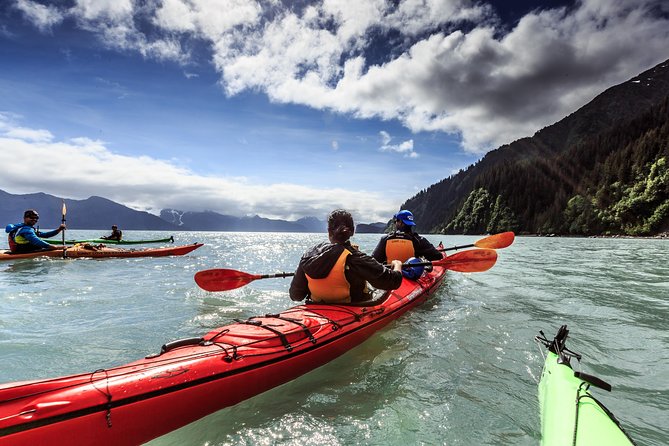 Resurrection Bay Kayaking Adventure - Who will enjoy this most?