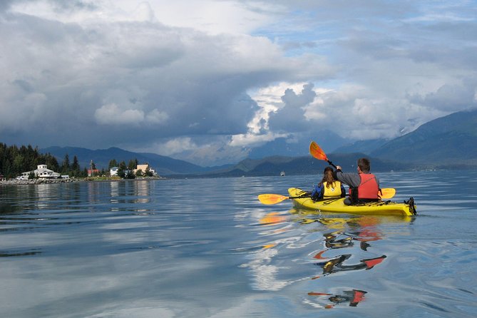 Resurrection Bay Kayaking Adventure - Weather, refunds, and useful planning advice