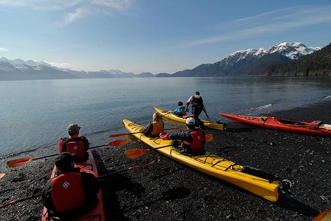 Resurrection Bay Kayaking Adventure - On the water: mountains, coves, and green water