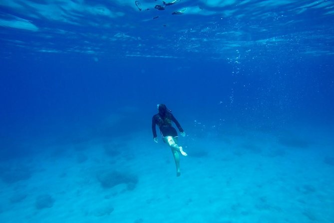 Rhodes: Stand Up Paddle & Snorkel Adventure - Is the $102.84 price good value?