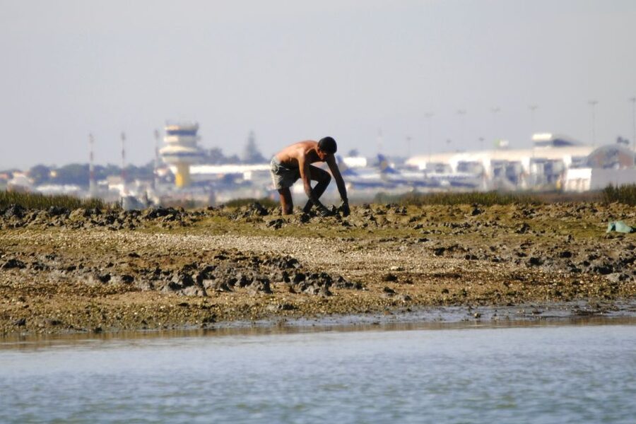 Ria Formosa National Park: Kayak Trip - Seeing Clam Farmers at Work