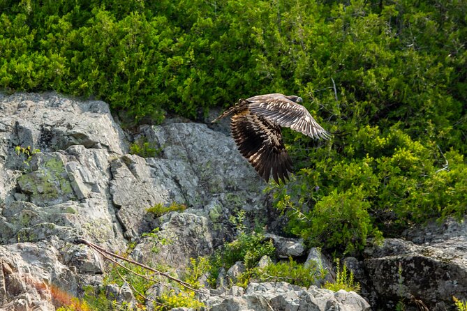 River Relics Kayaking Adventure - Stonehammer Geopark and the first Precambrian fossils