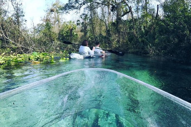 Rock Springs 2-Hour Glass Bottom Guided Kayak Eco Tour - The guide can make or break the outing