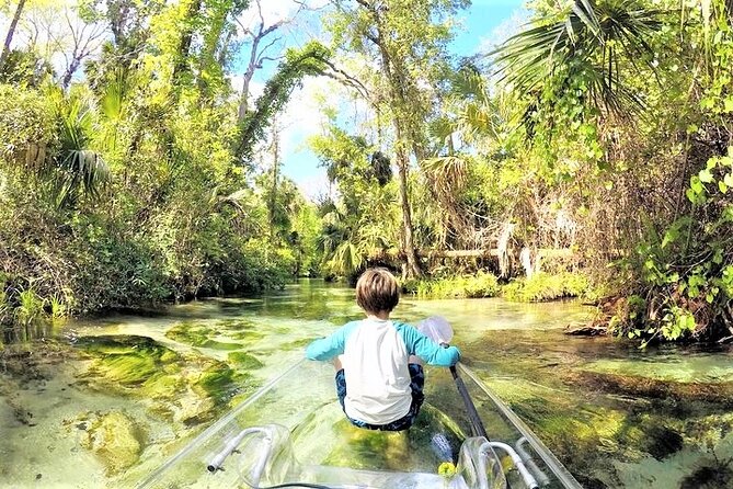 Rock Springs 2-Hour Glass Bottom Guided Kayak Eco Tour - Crowds, traffic, and the honest downside