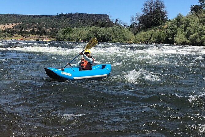 Rogue River Family Float & Discovery Park-Rafting and Kayaking - Who will get the most from this Rogue River trip?
