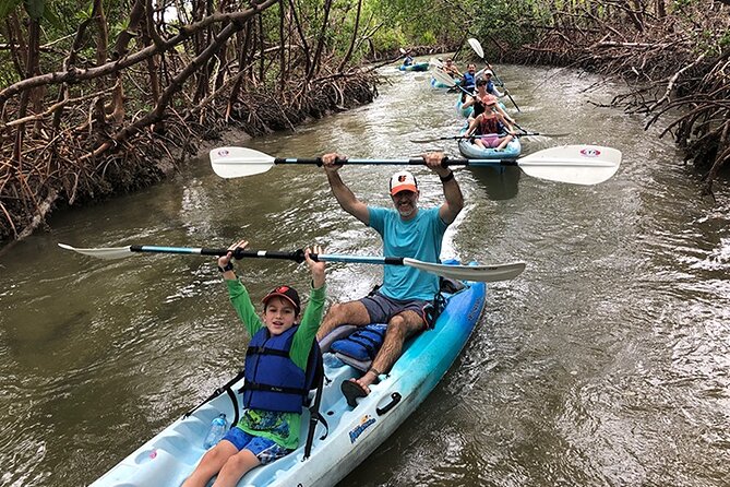Rookery Bay Kayak Adventure – Mangroves, Wildlife & Photos - Through the Mangrove Tunnels