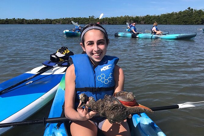 Rookery Bay Kayak Adventure – Mangroves, Wildlife & Photos - Wildlife: What You Might Actually See