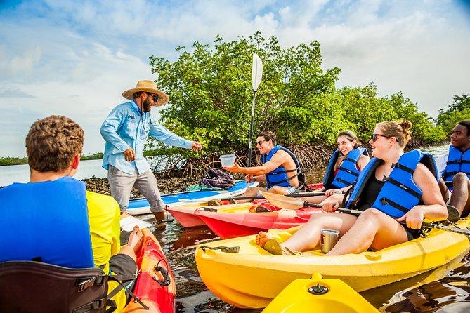 Rookery Bay Kayak Adventure – Mangroves, Wildlife & Photos - The Guides Make the Difference