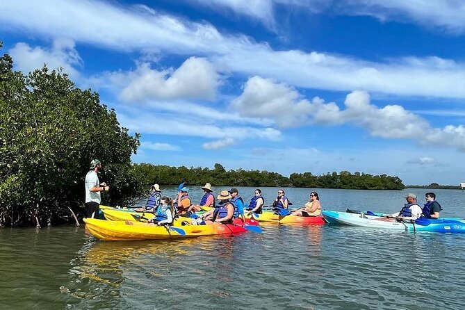 Rookery Bay Kayak Adventure – Mangroves, Wildlife & Photos - Value for Families and First-Time Kayakers