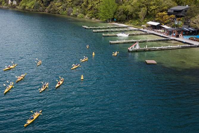 Rotorua: Daytime Scenic Lake Rotoiti Kayak Tour - Key points to know before booking