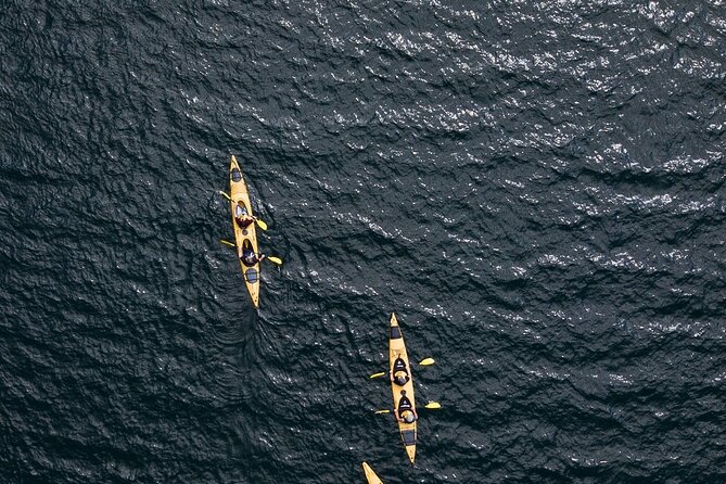 Rotorua: Daytime Scenic Lake Rotoiti Kayak Tour - Should you book the Lake Rotoiti kayak tour?