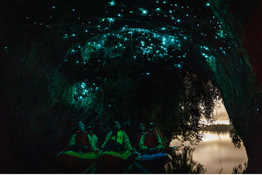 Rotorua: Glow Worm Adventure Kayak - At a glance