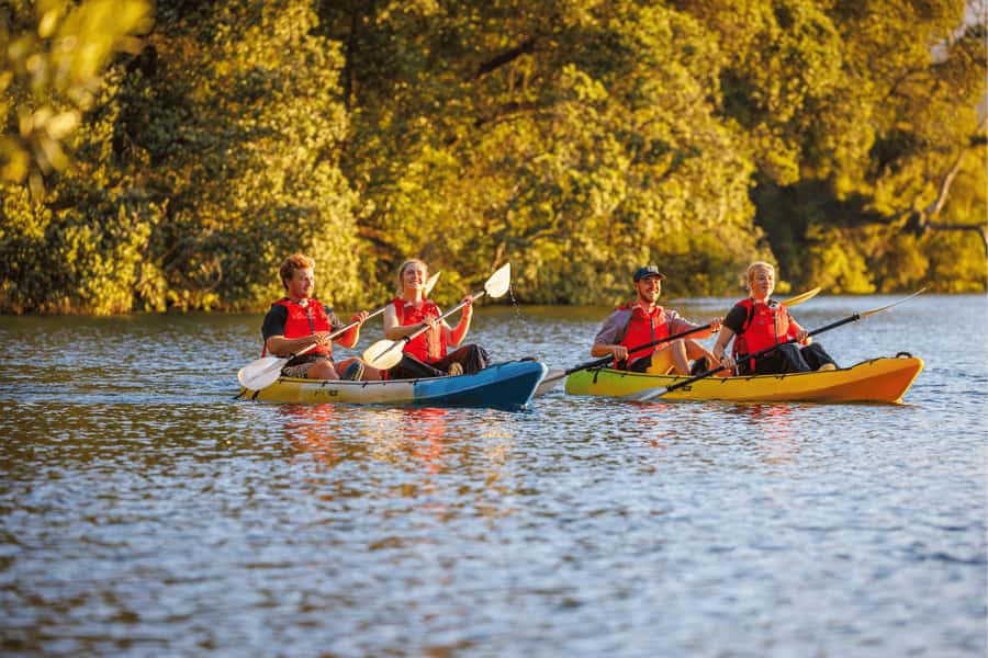 Rotorua: Glow Worm Adventure Kayak - Why this Rotorua night tour feels different