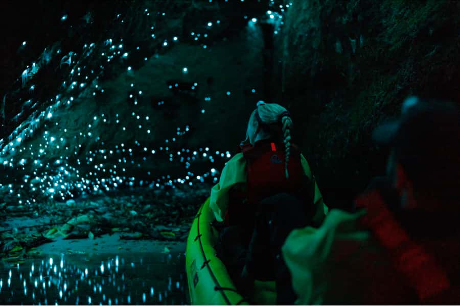 Rotorua: Glow Worm Adventure Kayak - What the $176 price buys you
