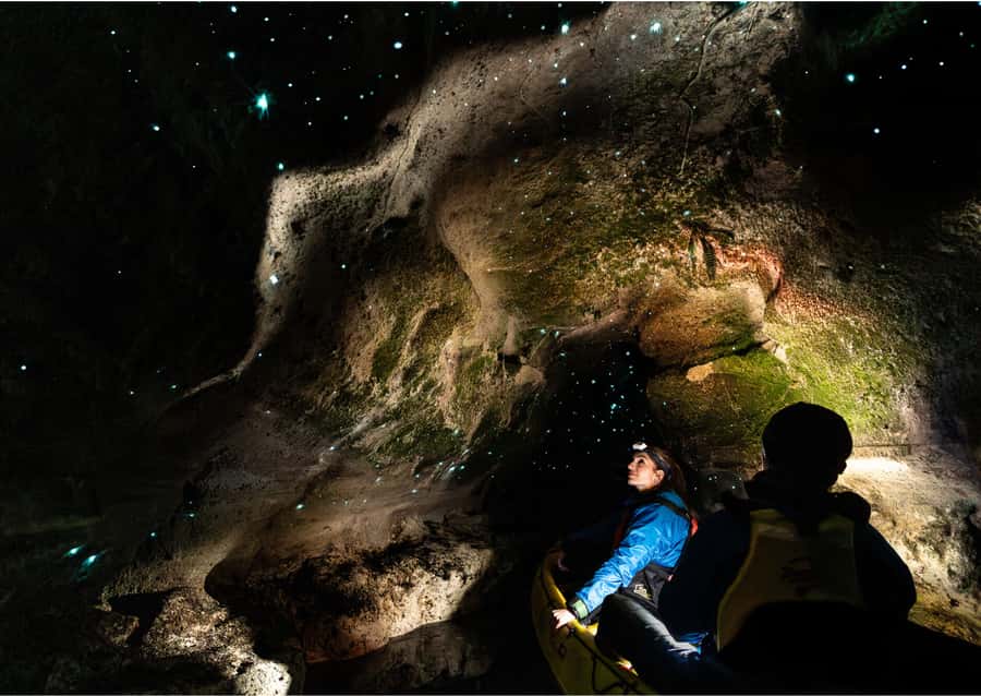 Rotorua: Glow Worm Kayak Tour - What makes this Rotorua kayak tour special