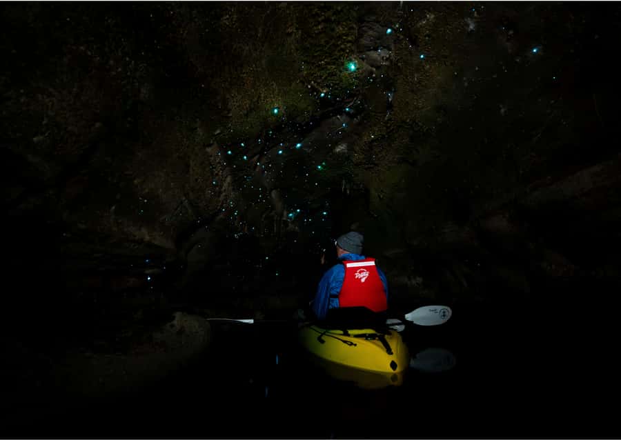 Rotorua: Glow Worm Kayak Tour - Final verdict: should you book it?