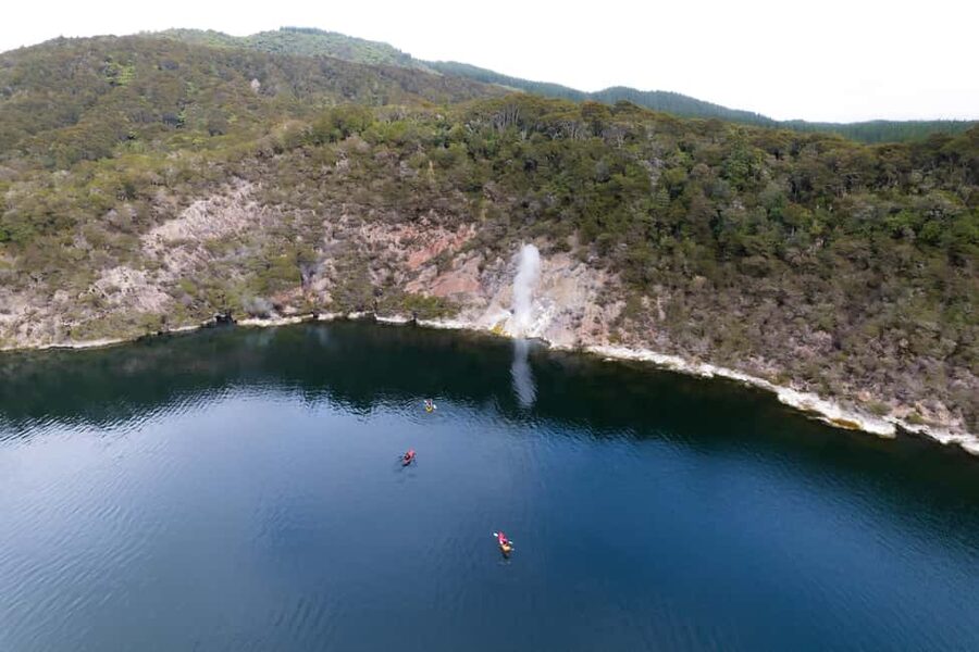 Rotorua: Waimangu Valley Walk and Steaming Cliffs Kayak Tour - Should You Book the Waimangu Kayak Tour?